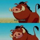 하쿠나마타타 이미지