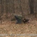 도그트리 이미지