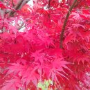 두륜산관광펜션 이미지