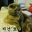백야기업