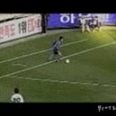 플립플랩
