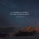 미도리파티앤쿠킹