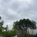 영웅 K타이거즈 태권도장 | [기아 타이거즈] 고척돔 첫방문 ! / 250624 vs 키움 히어로즈 / 1루 309구역 1열 후기