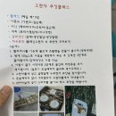 수제오란다 만들기 원데이클래스 체험 후기