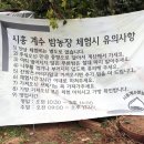 계산농장 이미지