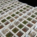 여수울로29번길 이미지