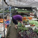 베데스다농장 이미지