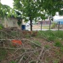 개곡2리 이미지