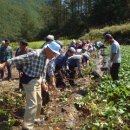 큰삼촌농촌체험마을 이미지
