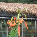 신원리 경로당 이미지