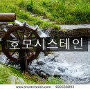 호모시스테인과 동맥경화 11월 11일 이미지