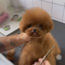 서울토이