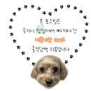 [구의역 술집] 이자카야 추천 &#39;아쿠슈&#39; 안주 맛집