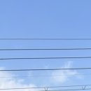 연세위너스재활의학과의원 이미지