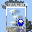 웰빙세상 | 235. 무료 웰빙 컨설팅 체험단이라구요? 수원방탈출연구소 라이프케어센터 후기