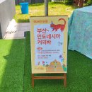 옐로우킹콩 이미지