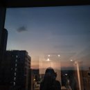 미친 시흥 디저트카페 야미케이크 후기