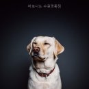 바로나도 수원영통점 이용 전 체크할 조건