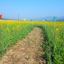 강변자전거길 1 이미지