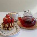 바닐라파레트