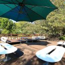 스트리트퍼니처 이미지