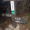 노고단산장 Daum카페