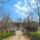 충북 보은 키즈캠핑장 ㅡ 속리산사나래캠핑장
