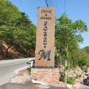 cafe M(카페 엠) 이미지