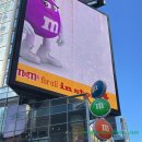 초코렛 | 뉴욕여행 핫플레이스 엠앤엠 M&amp;M 뉴욕쇼핑템 커스텀초코렛 구입후기
