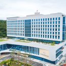 충남대로 파이낸셜뉴스