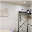 스테이모어 이미지