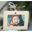 포토트리