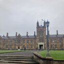 노을빛도서관 | [ 8일차 ] 시드니 대학교, 세인트 메리 대성당, 뉴 사우스 웨일스 미술관, 도서관, 미트 파이