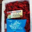 영일농원
