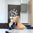 급하다. 급해. 현대사회.