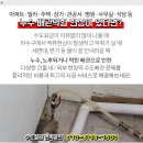 백양제일내과의원 이미지