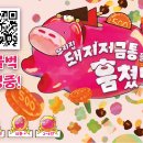 우리집돼지