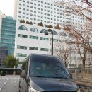 천사의전