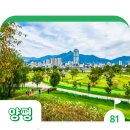 그늘막81 이미지