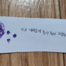 재미이모