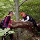 노고단-4 이미지