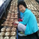 봉예농장 이미지