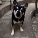 초리농장 이미지