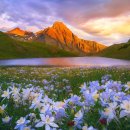 나의 이야기 나의 수필 이미지