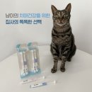 이치덴탈 이미지