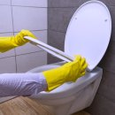 피톤치드 화장실 이미지