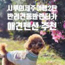 삼달신풍로 | 강아지랑 제주도 여행 - 반려견 동반 렌터카 &amp; 제주 애견 동반 숙소 추천｜콩시루와 제주도 여행 2탄