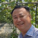 김인석농장 이미지