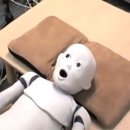 고래대학교 안산병원 | 2026년 고려대학교 안산병원 신규간호사(졸업예정자) 합격 후기