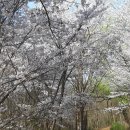 옥녀는 앙칼지게 돌아 앉아있고! - 순창군 작은아미산(251.2m)~가산(418.9m,배미산)~옥녀봉(303.5m) 이미지